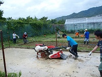 2014 paddy field shirokaki3.jpg(35991 byte)